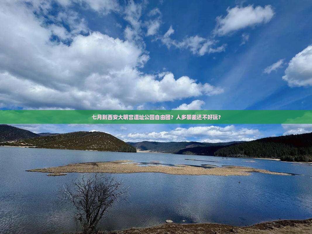 七月到西安大明宫国家遗址公园自由团