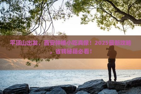 平顶山到西安钟楼旅游小吃