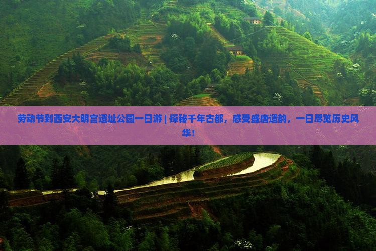劳动节到西安大明宫国家遗址公园一日游