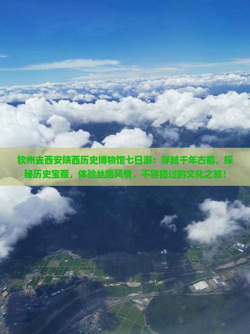 钦州去西安陕西历史博物馆七日游