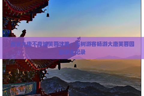 玉树去西安大唐芙蓉园自由行
