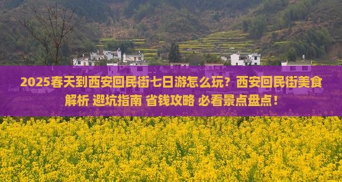 春天到西安回民街七日游