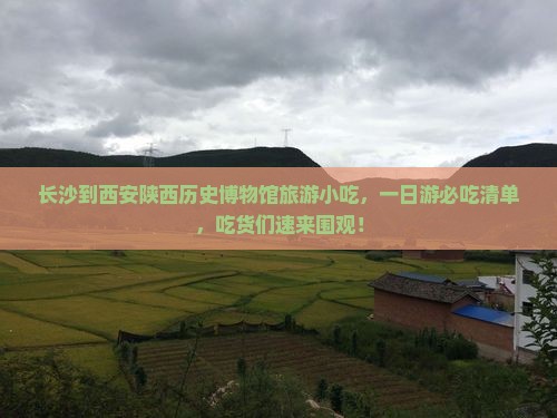 长沙到西安陕西历史博物馆旅游小吃