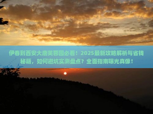 伊春到西安大唐芙蓉园景点