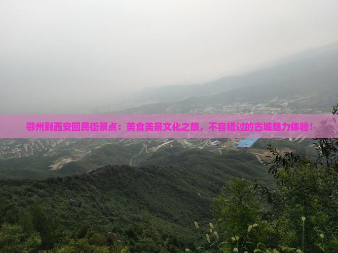 鄂州到西安回民街景点