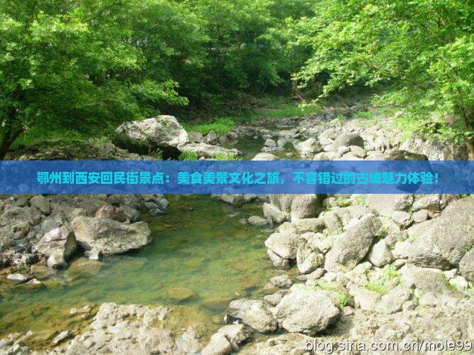 鄂州到西安回民街景点