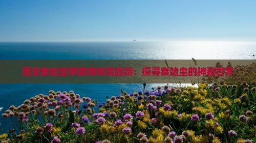 莱芜去西安秦始皇帝陵博物院旅游