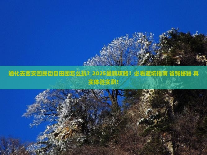 通化去西安回民街自由团