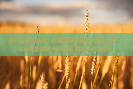 安庆去西安陕西历史博物馆门票 安庆去西安陕西历史博物馆门票