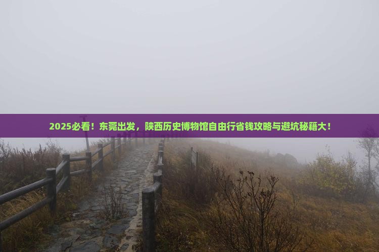 东莞到西安陕西历史博物馆自由团