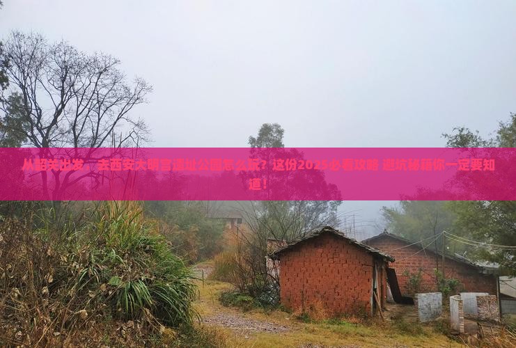韶关到西安大明宫国家遗址公园旅游