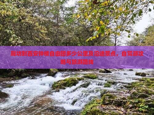 廊坊到西安钟楼自由团