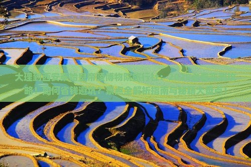 大理到西安秦始皇帝陵博物院旅行社
