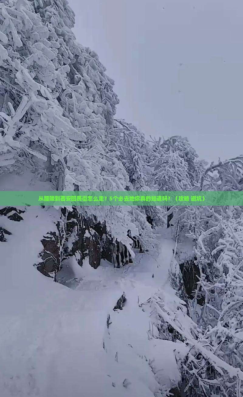醴陵到西安回民街必去地
