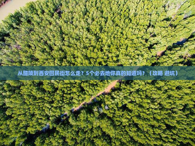 醴陵到西安回民街必去地