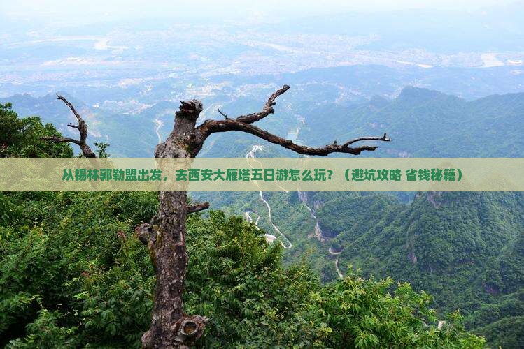 锡林郭勒盟去西安大雁塔五日游
