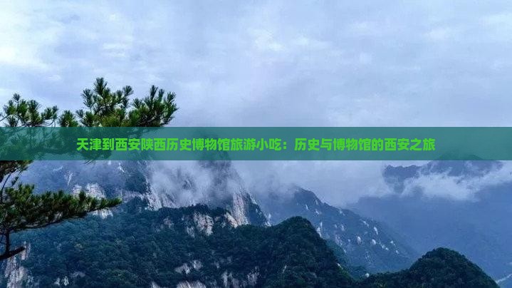 天津到西安陕西历史博物馆旅游小吃 天津到西安陕西历史博物馆旅游小吃