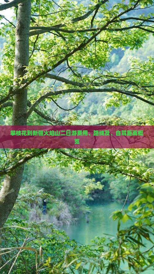 攀枝花到新疆火焰山二日游费用、路线及、自驾距离概览
