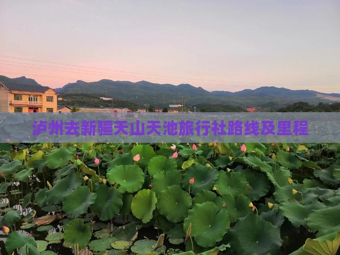 泸州去新疆天山天池旅行社路线及里程