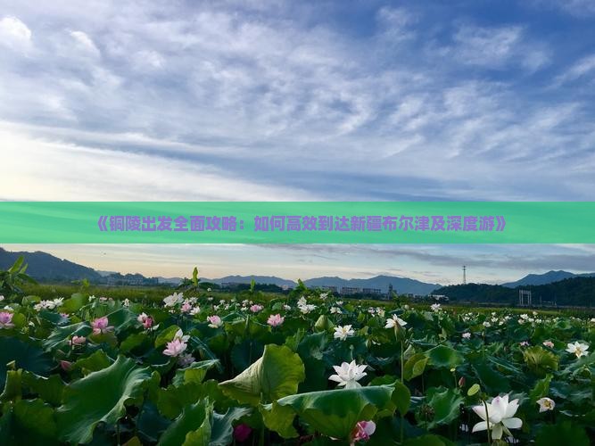 《铜陵出发全面攻略：如何高效到达新疆布尔津及深度游》