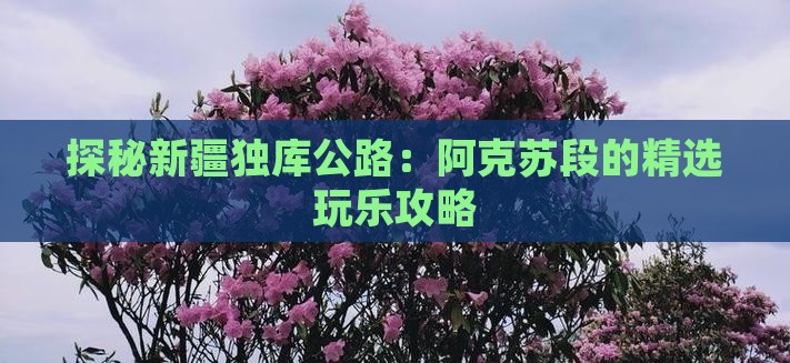 探秘新疆独库公路：阿克苏段的精选玩乐攻略