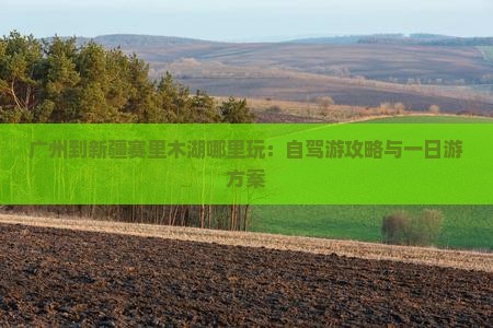 广州到新疆赛里木湖哪里玩：自驾游攻略与一日游方案