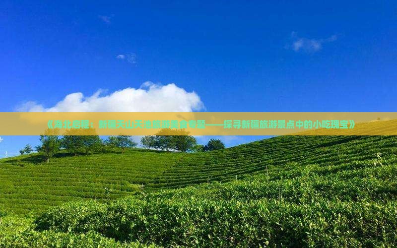 《海北启程：新疆天山天池旅游美食专题——探寻新疆旅游景点中的小吃瑰宝》