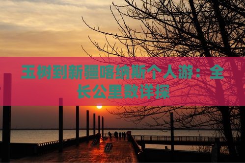 玉树到新疆喀纳斯个人游：全长公里数详探