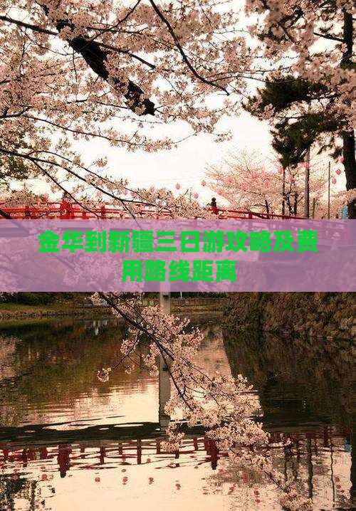 金华到新疆三日游攻略及费用路线距离