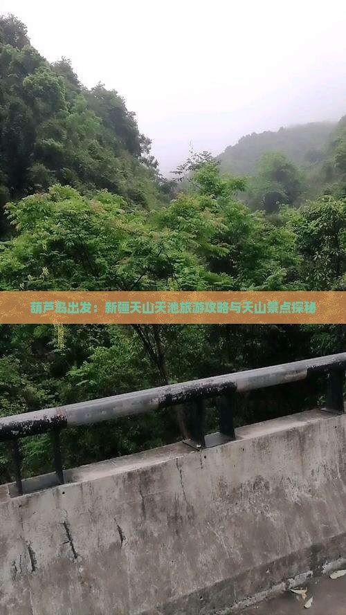 葫芦岛出发：新疆天山天池旅游攻略与天山景点探秘