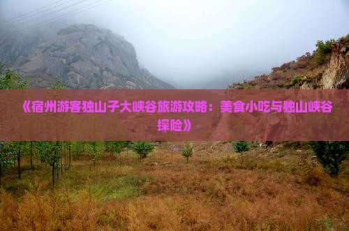 《宿州游客独山子大峡谷旅游攻略：美食小吃与独山峡谷探险》