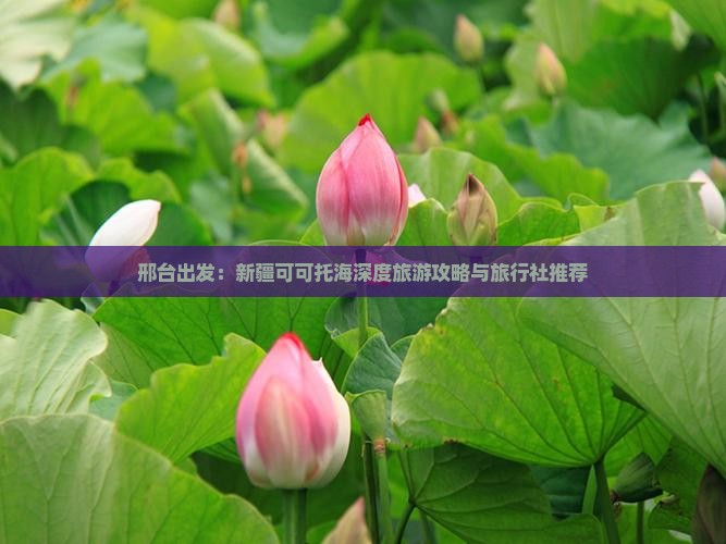 邢台出发：新疆可可托海深度旅游攻略与旅行社推荐