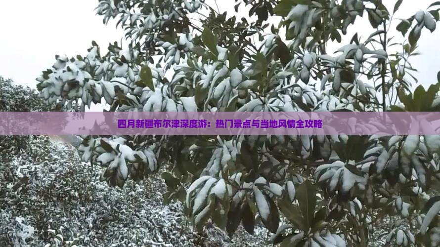 四月新疆布尔津深度游：热门景点与当地风情全攻略