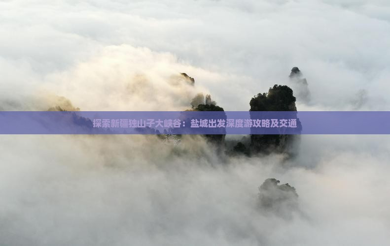 探索新疆独山子大峡谷：盐城出发深度游攻略及交通