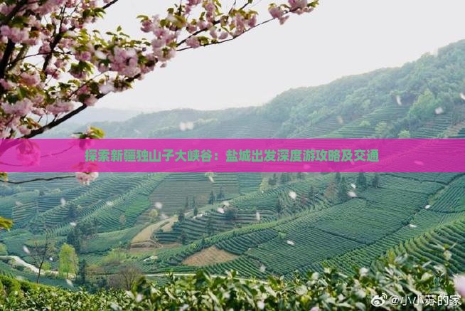探索新疆独山子大峡谷：盐城出发深度游攻略及交通