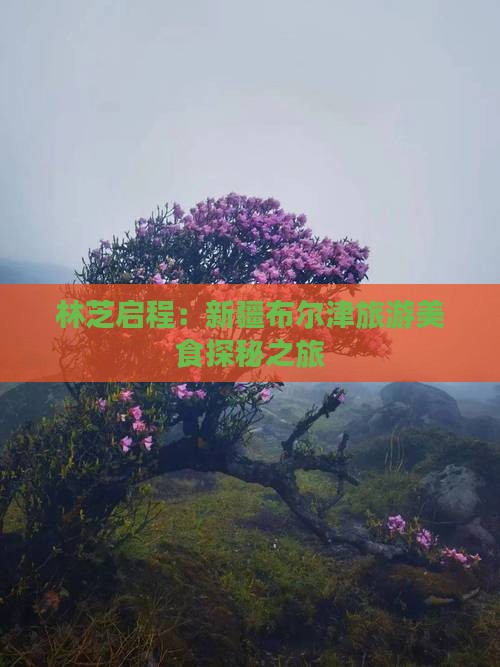 林芝启程：新疆布尔津旅游美食探秘之旅