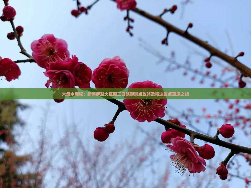 六盘水启程：新疆伊犁大草原二日旅游景点攻略及精选景点草原之旅