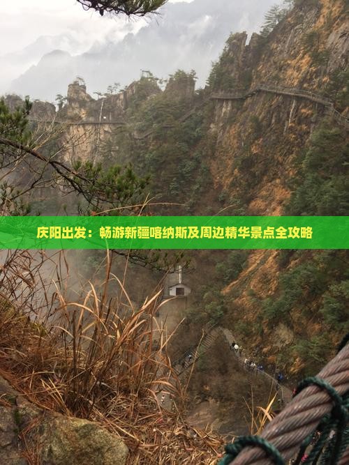 庆阳出发：畅游新疆喀纳斯及周边精华景点全攻略