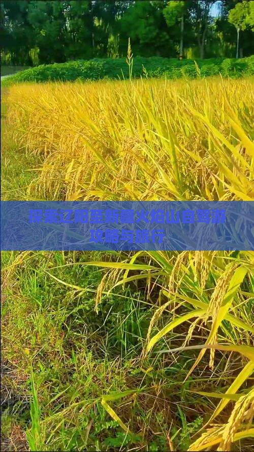 探索辽阳至新疆火焰山自驾游攻略与旅行