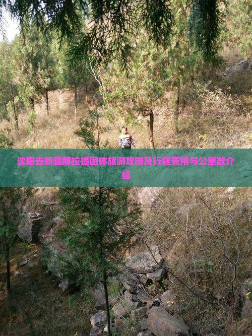 沈阳去新疆那拉提团体旅游攻略及行程费用与公里数介绍