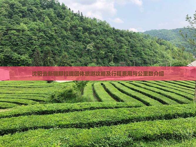 沈阳去新疆那拉提团体旅游攻略及行程费用与公里数介绍