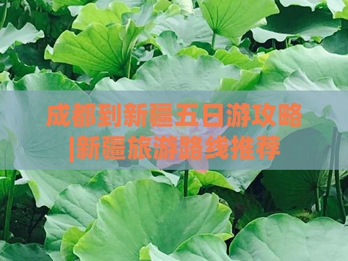 成都到新疆五日游攻略|新疆旅游路线推荐