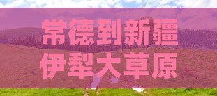 常德到新疆伊犁大草原旅游全攻略