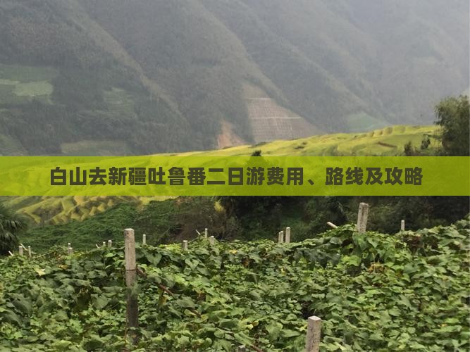 白山去新疆吐鲁番二日游费用、路线及攻略