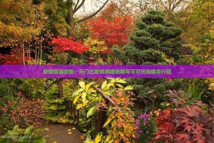 新疆旅游攻略：天门出发畅游喀纳斯与可可托海精华行程