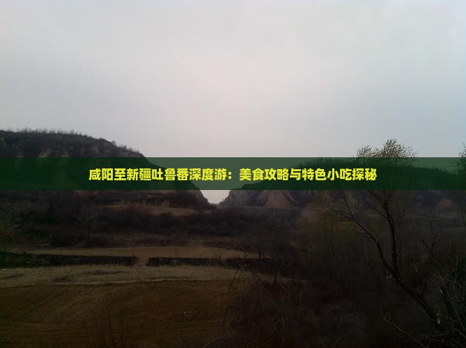 咸阳至新疆吐鲁番深度游：美食攻略与特色小吃探秘