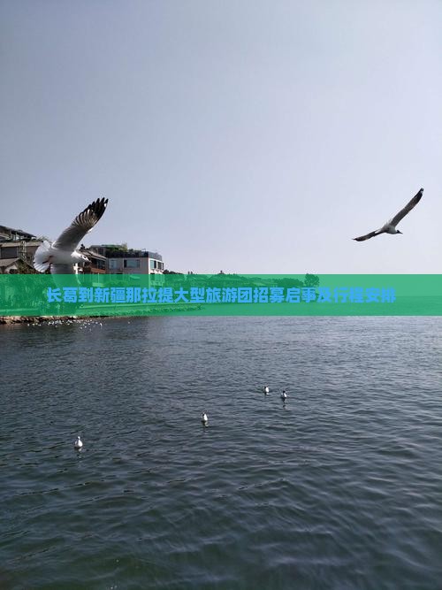 长葛到新疆那拉提大型旅游团招募启事及行程安排