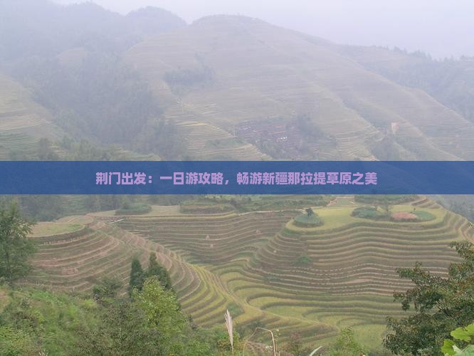 荆门出发：一日游攻略，畅游新疆那拉提草原之美