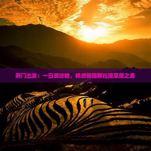 荆门出发：一日游攻略，畅游新疆那拉提草原之美