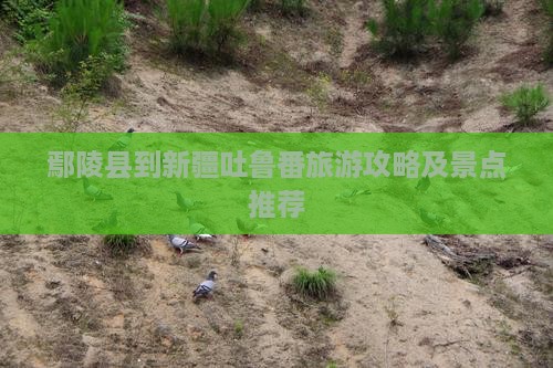 鄢陵县到新疆吐鲁番旅游攻略及景点推荐